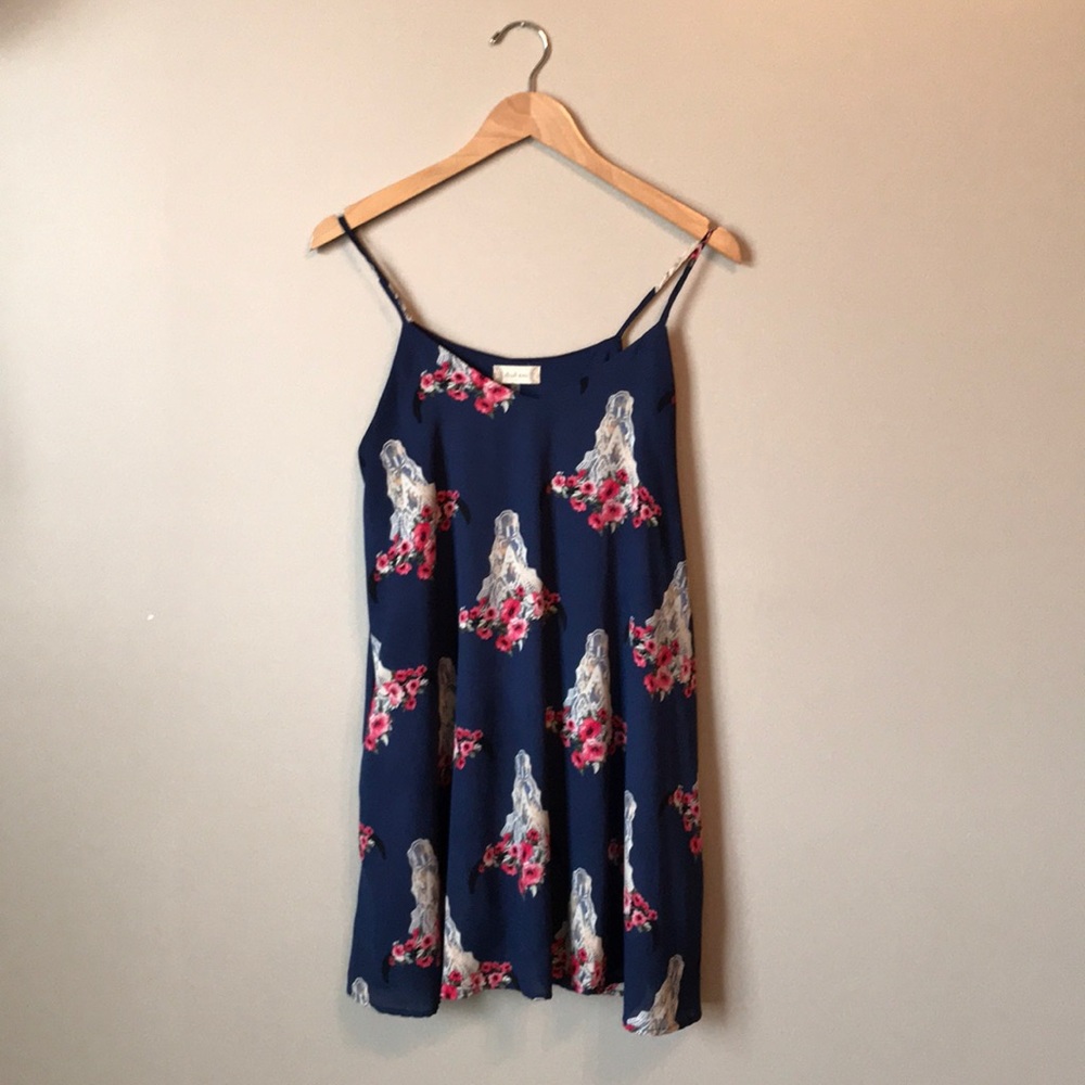 Altar’d State Trapeze Dress
